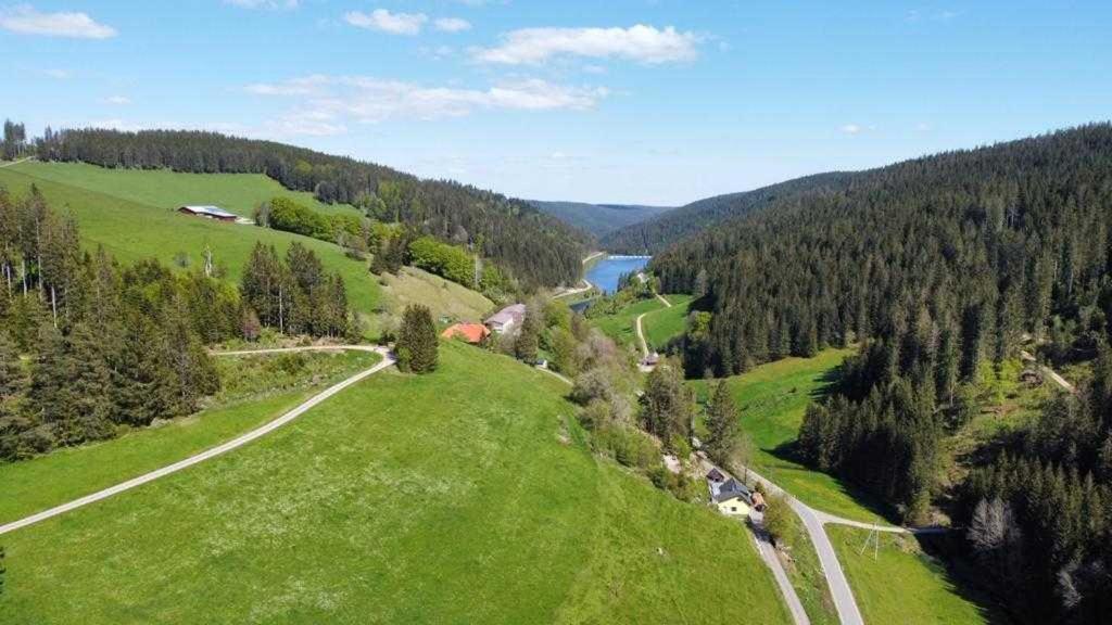 Haus Waldeck Appartement Furtwangen Buitenkant foto